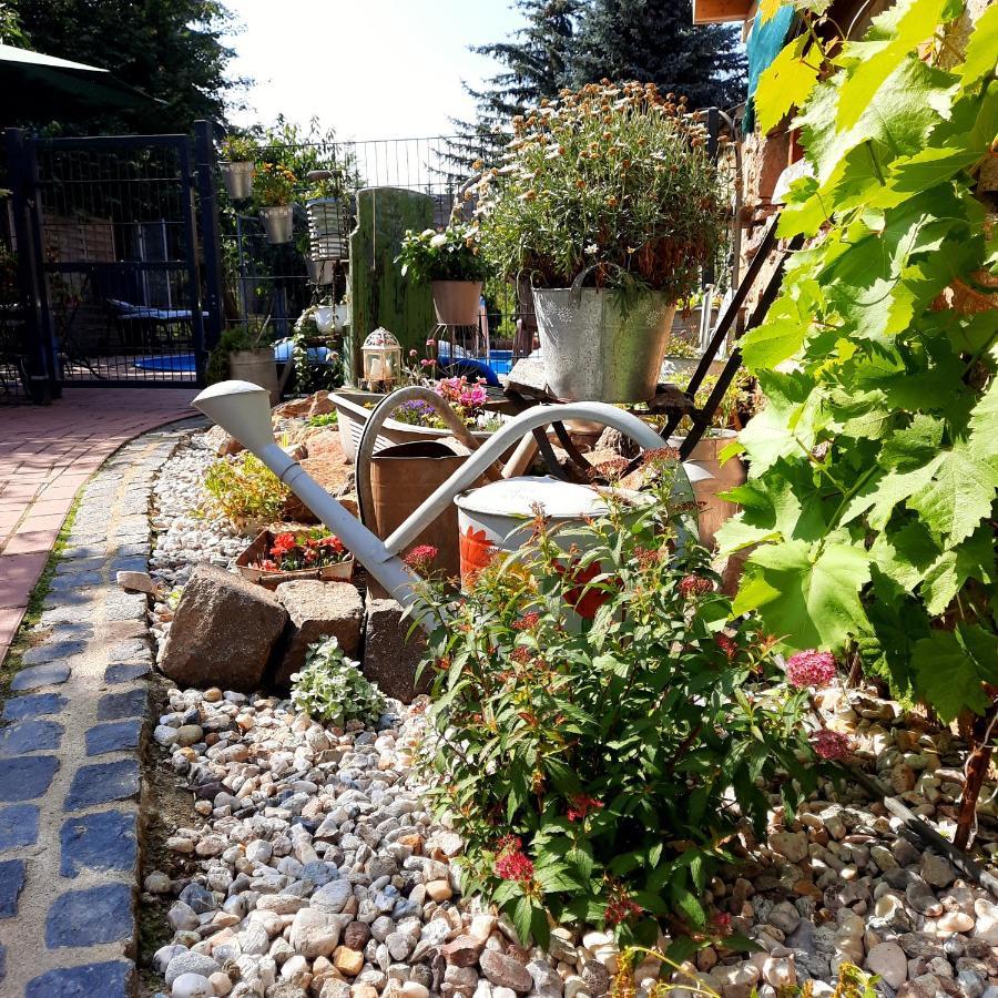 Gaestewohnung Am Thuemmlitzwald Grimma Dış mekan fotoğraf